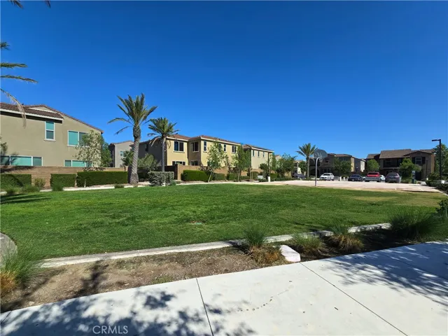 Community Green Park
