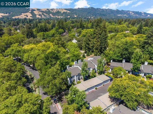 401 Old Orchard Ct, Danville, California 94526