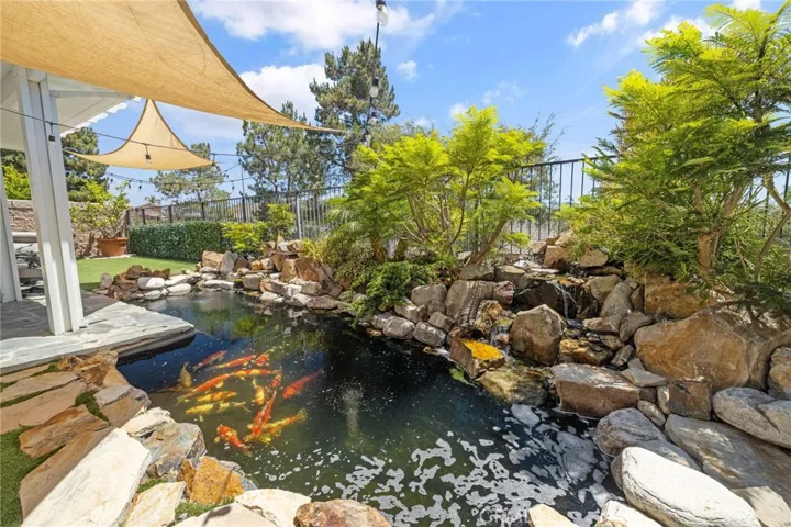 Beautiful Koi pond