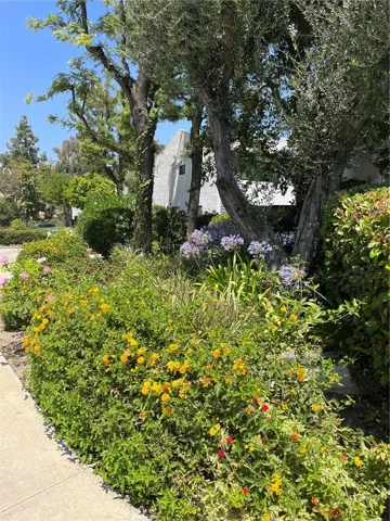 11311 Tampa 17, Porter Ranch, California 91326