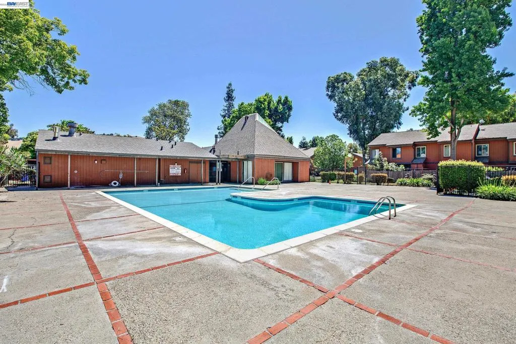 Swimming Pool and Spa