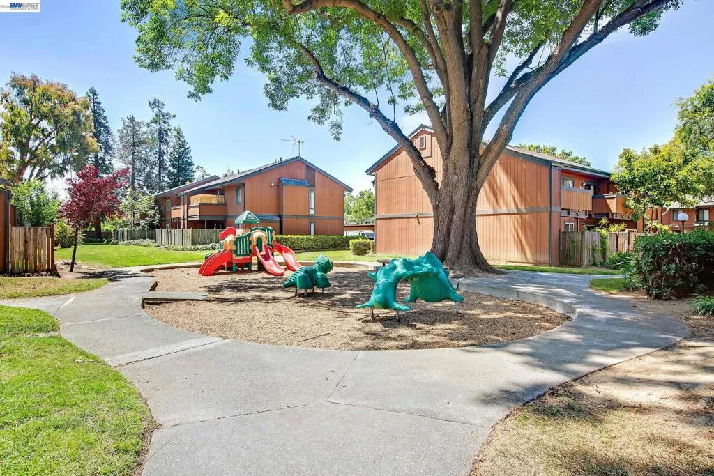 Play ground