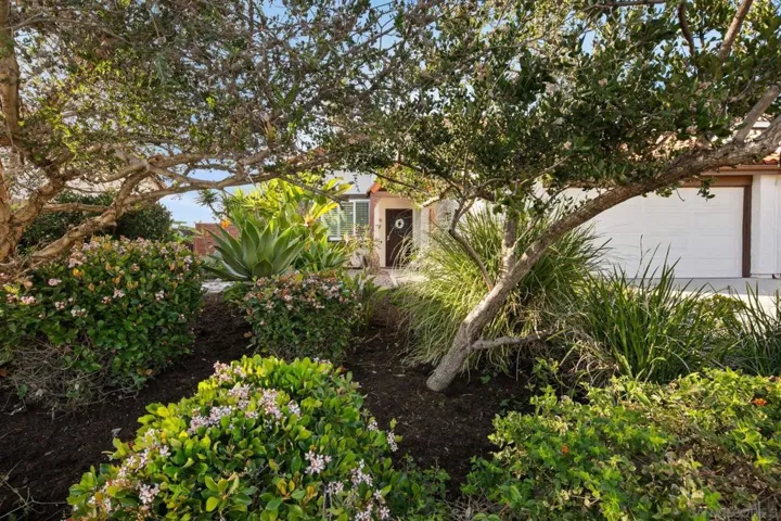 6433 La Paloma St, Carlsbad, California 92009