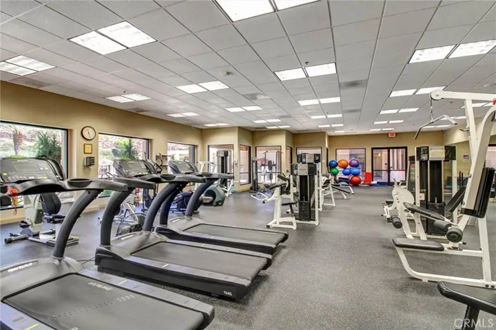 Top of the line Gym & Workout Equipment