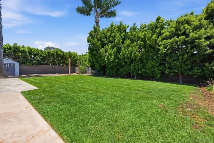 Yard