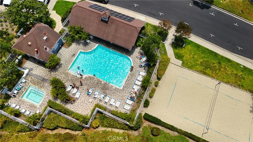 Pool/spa and Volley ball court