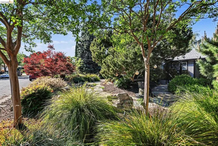 5849 Mitchell Canyon Ct, Clayton, California 94517