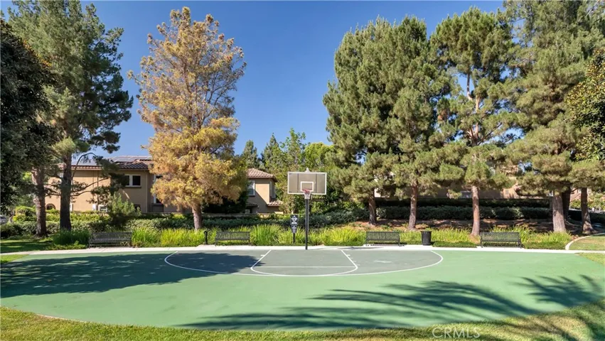 A practice spot for the future Basketball Pros