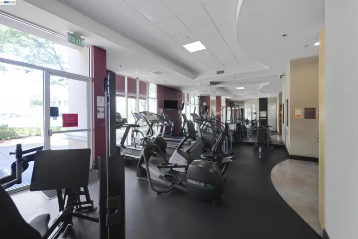 20488 Stevens Creek Blvd 2302, Cupertino, California 95014