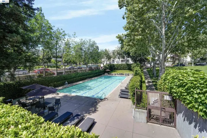 20488 Stevens Creek Blvd 2302, Cupertino, California 95014