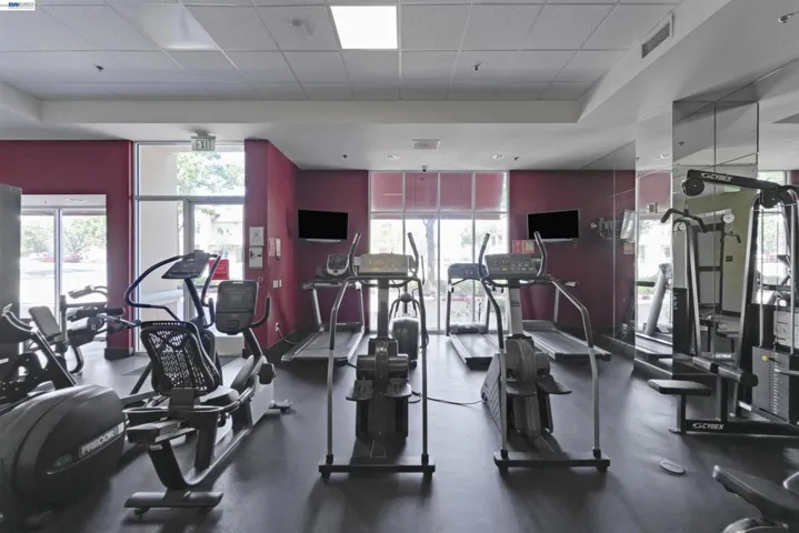 20488 Stevens Creek Blvd 2302, Cupertino, California 95014