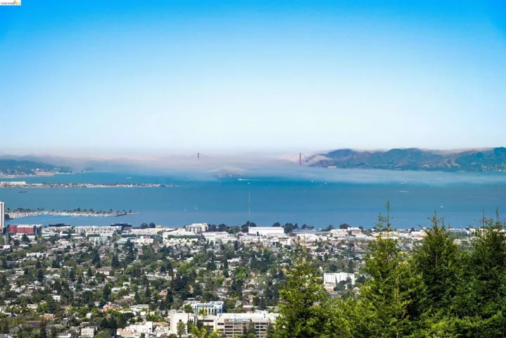 Expansive bay and city panorama featuring the distant Golden Gate Bridge, a vibrant urban landscape, and lush foreground foliage