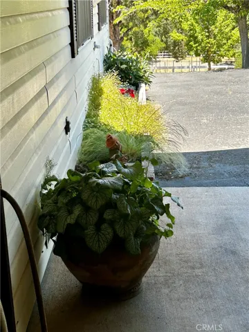 131 Ryan Road, Lakeport, California 95453