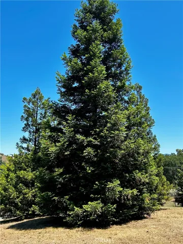 131 Ryan Road, Lakeport, California 95453