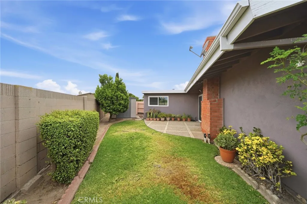 Backyard, back patio area with storage shed and lemon tree.