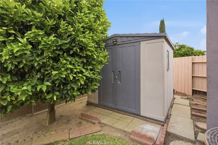 Newer Shed