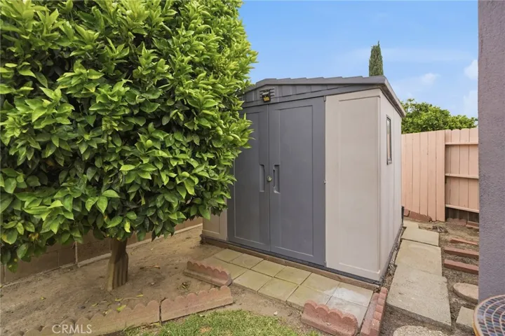 Newer Shed