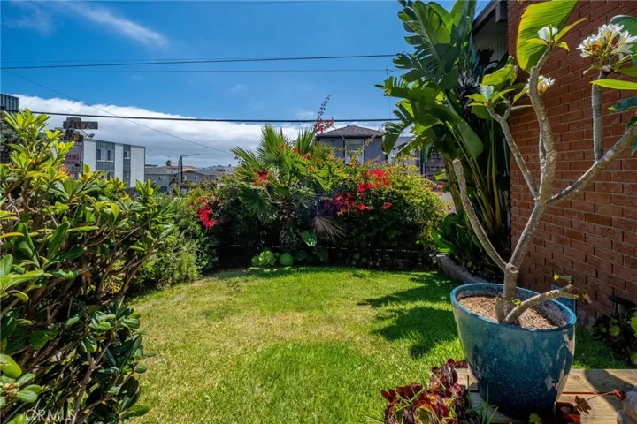 Front yard area