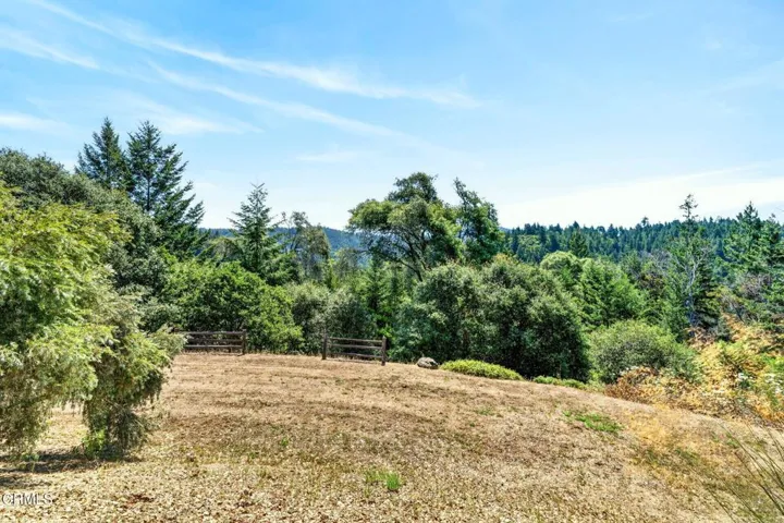 34 meadow