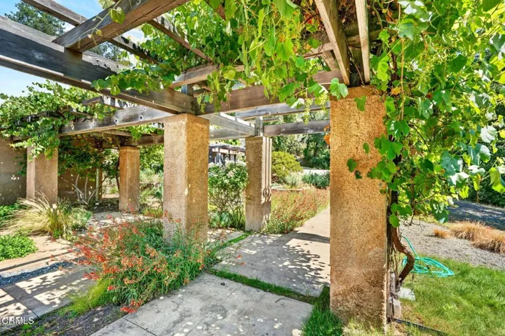 30 entrance grape arbor 2