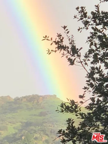 Live in rainbows