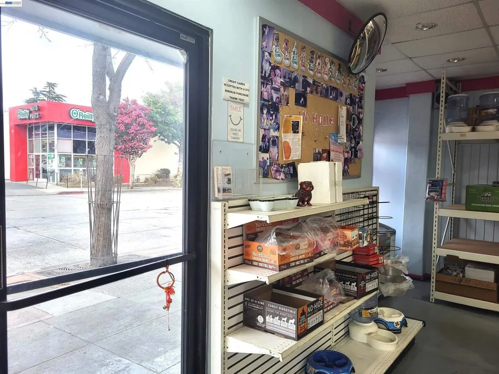 4203 Macarthur Blvd, Oakland, California 94601 — photo 5