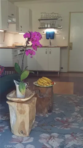 Family Room off Kitchen