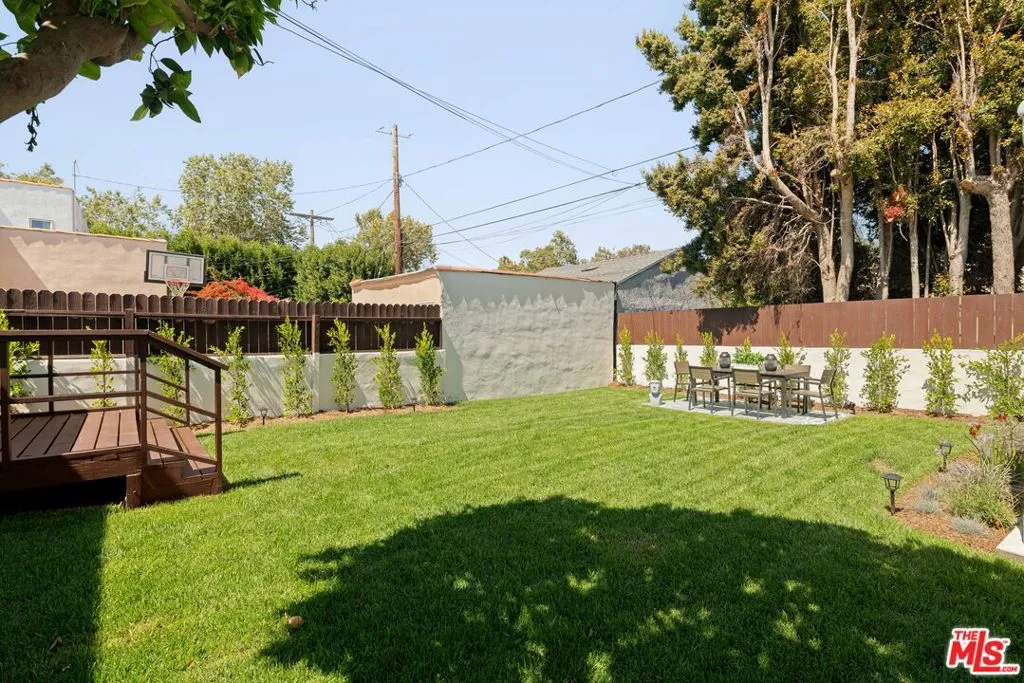 Backyard Under Orange Tree