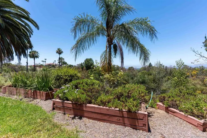 3537 Rosa Way, Fallbrook, California 92028