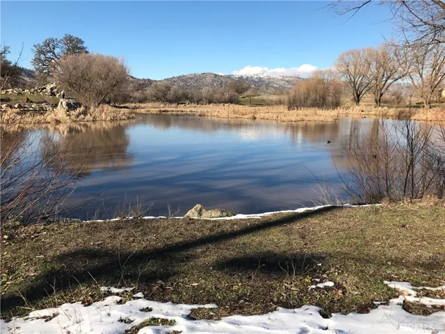 Nearby pond by bridge. Walking distance
