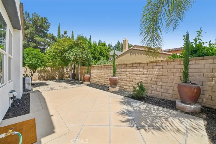large backyard with fruit trees