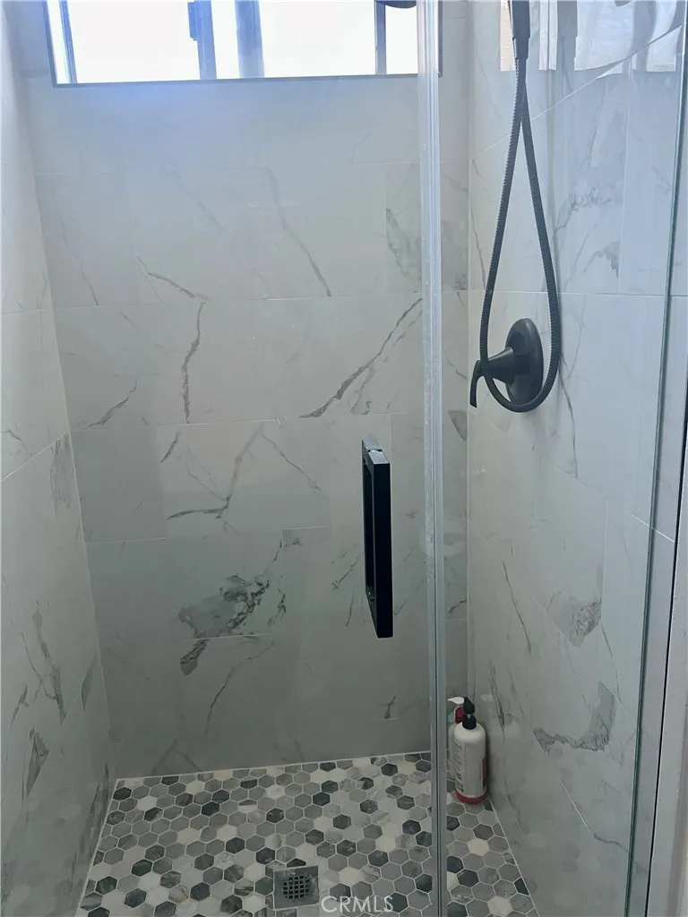 Walk in Primary shower