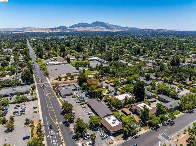 Aerial view of a verdant residential area featuring extensive tree canopy and a clear blue sky