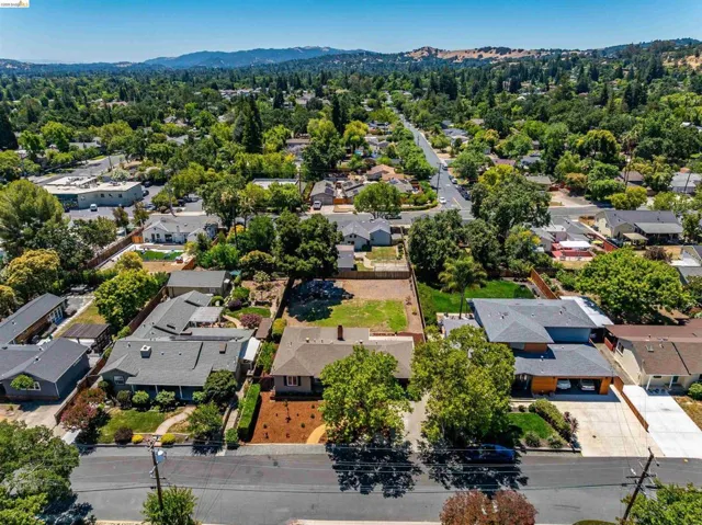 Expansive aerial overview showcasing a residential neighborhood with varied architectural styles and mature tree coverage