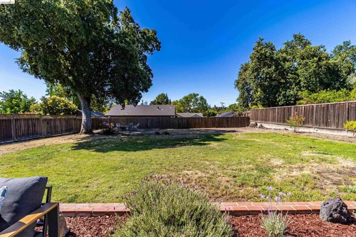 Expansive backyard featuring a mature tree, perimeter wood fencing, and a brick-edged planting bed