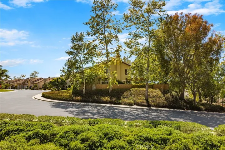 1 Egret, Aliso Viejo, California 92656