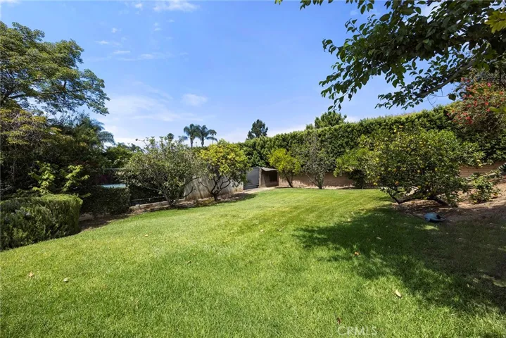 Grass Area in Backyard