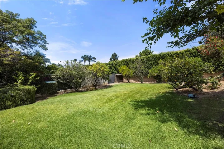 Grass Area in Backyard