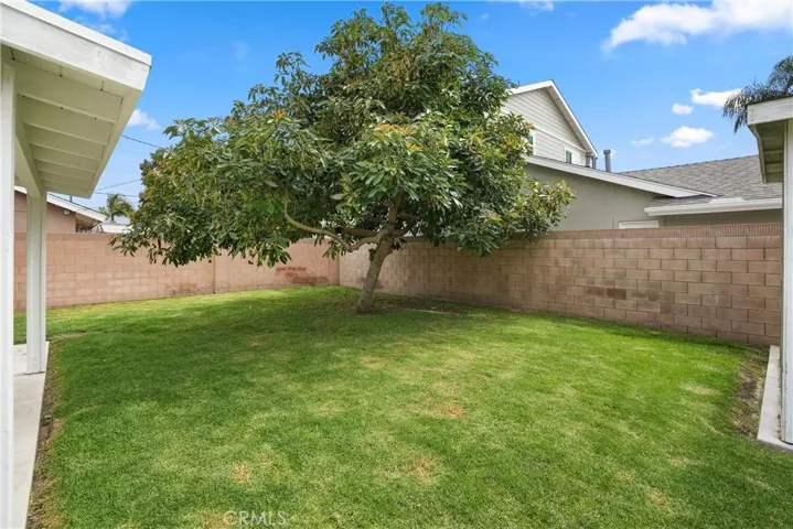 Large back yard
