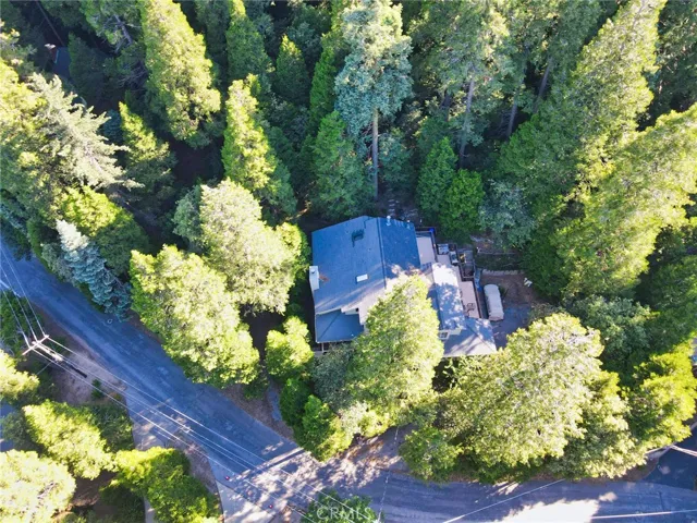 23891 Lakeview, Crestline, California 92325