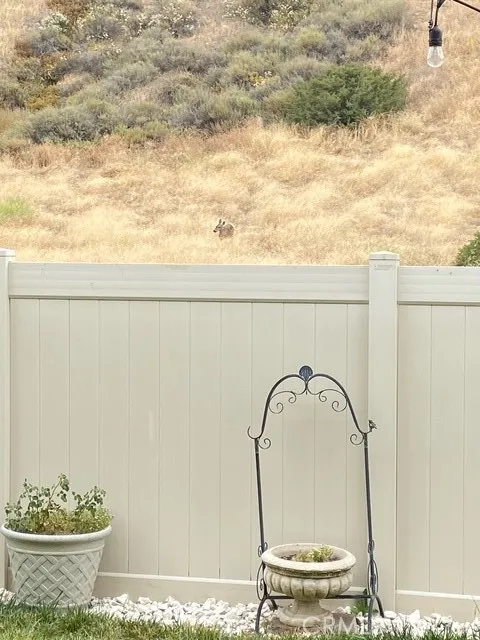 Deer sighting #2