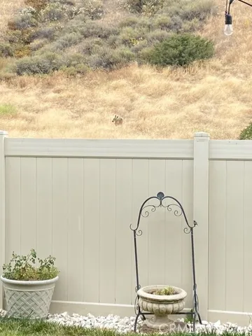 Deer sighting #2