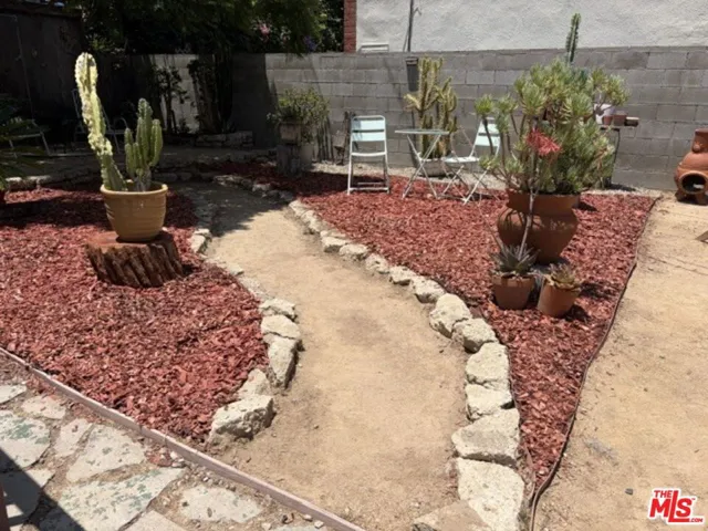 Back yard