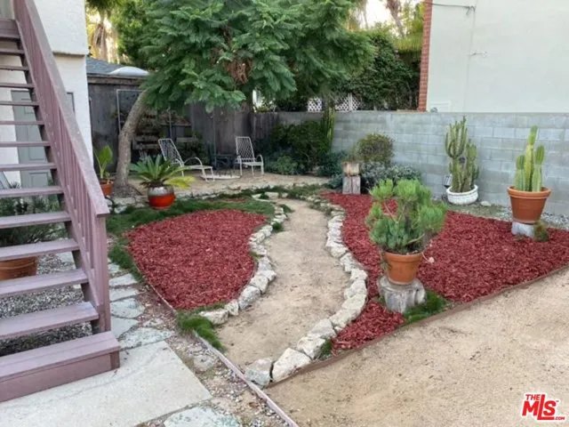 Back yard