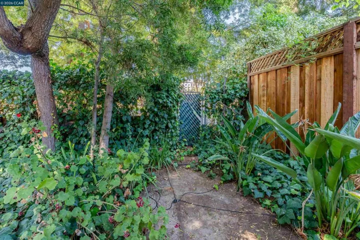 4175 Coulombe Dr, Palo Alto, California 94306