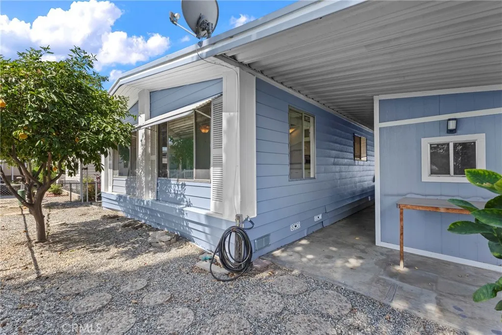 Shed and side access to fruit tree
