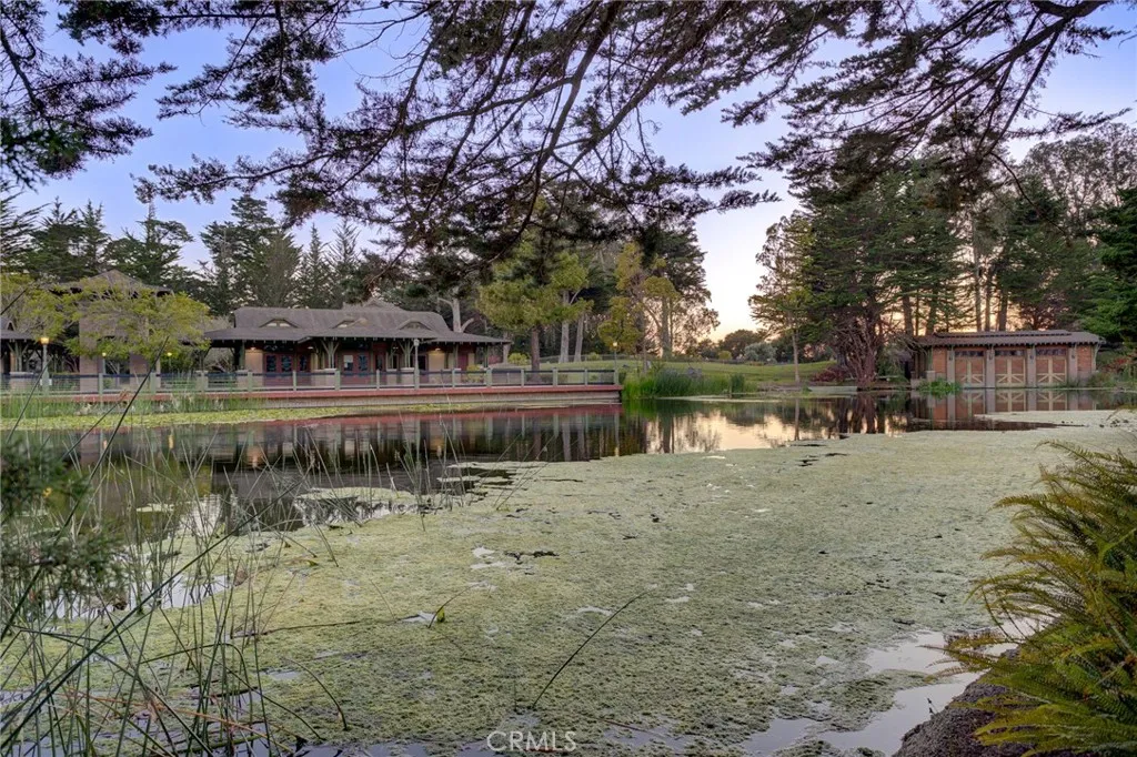 Pond view