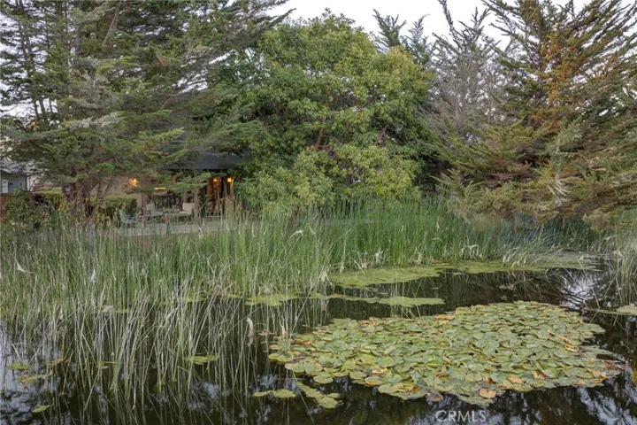pond views
