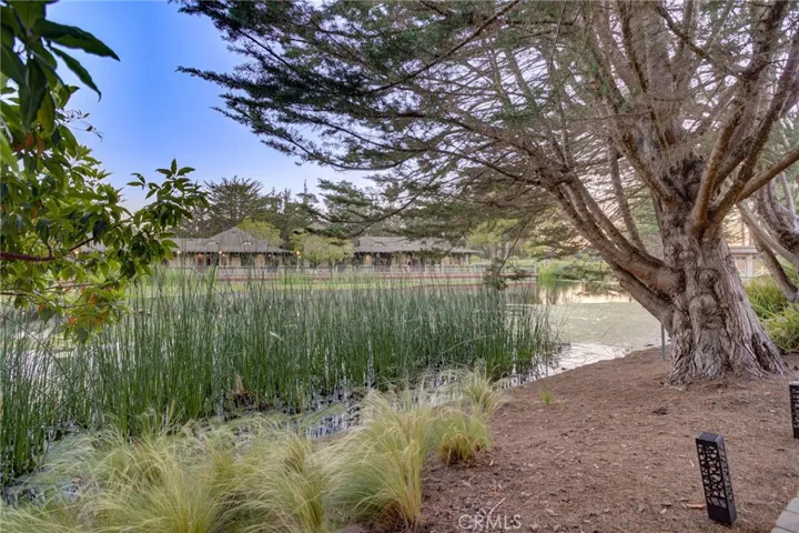pond views from property