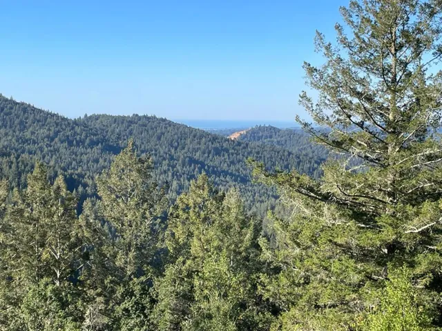 351 Canyon Vista, Los Gatos, California 95033